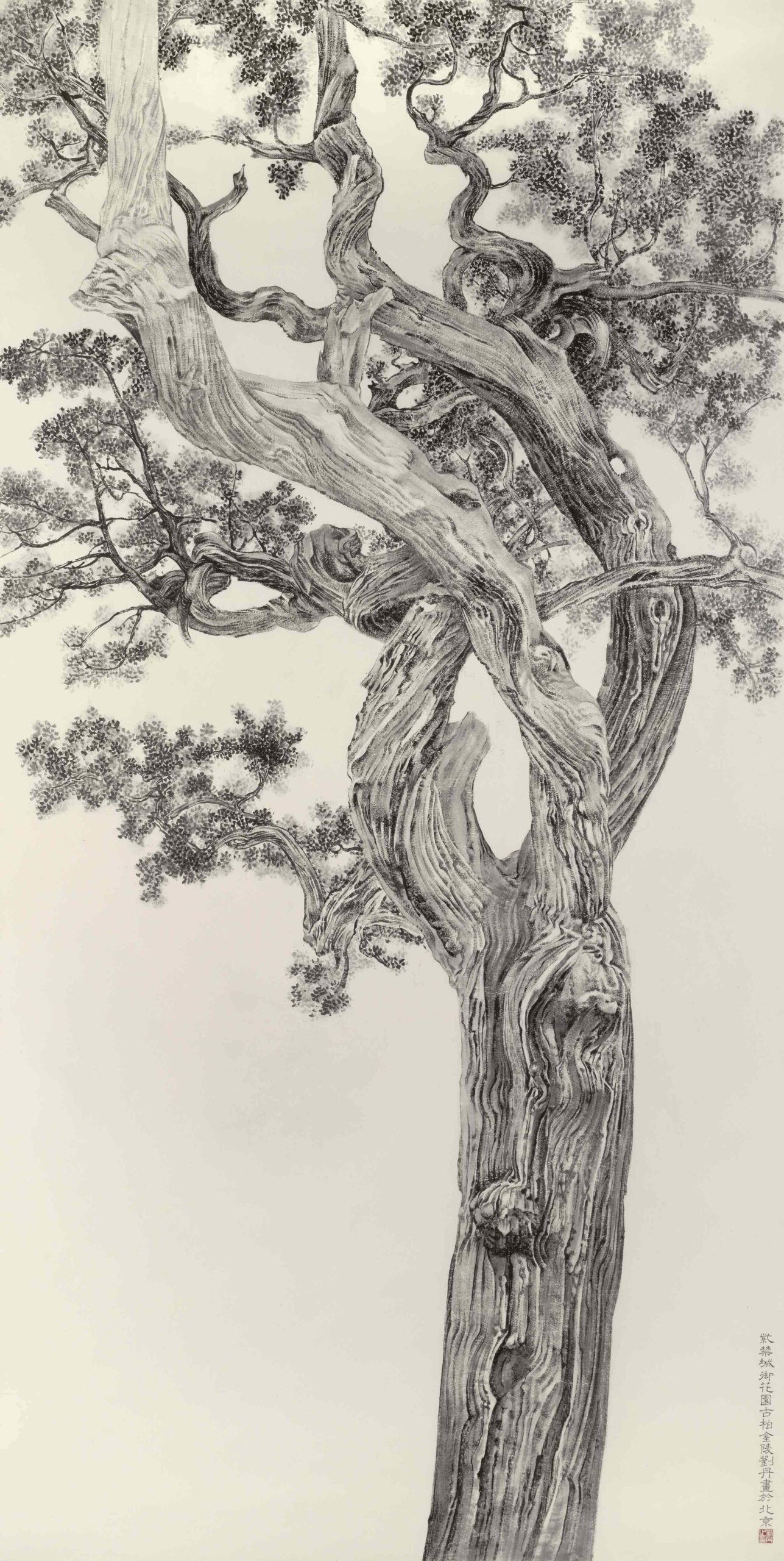 LIU DAN (b.1953) Old Cypress from the Forbidden City, 2007 LIU DAN (b.1953) Old Cypress from the Forbidden City, 2007