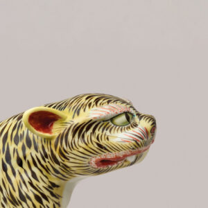tiger_aal-scaled