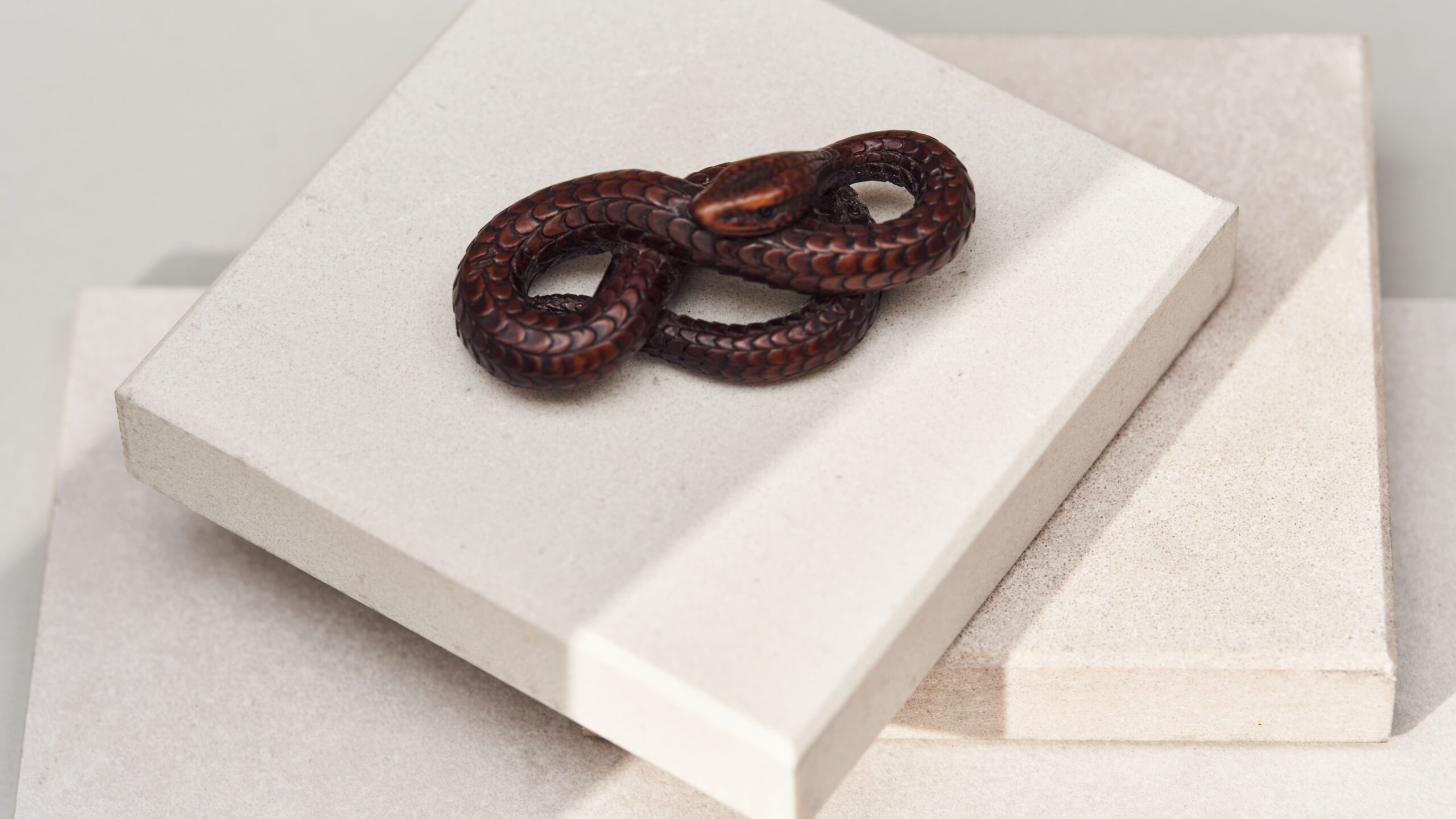 20251111-asian-art-eva-and-aubery-sweet-collection-snake-2 20251111-asian-art-eva-and-aubery-sweet-collection-snake-2