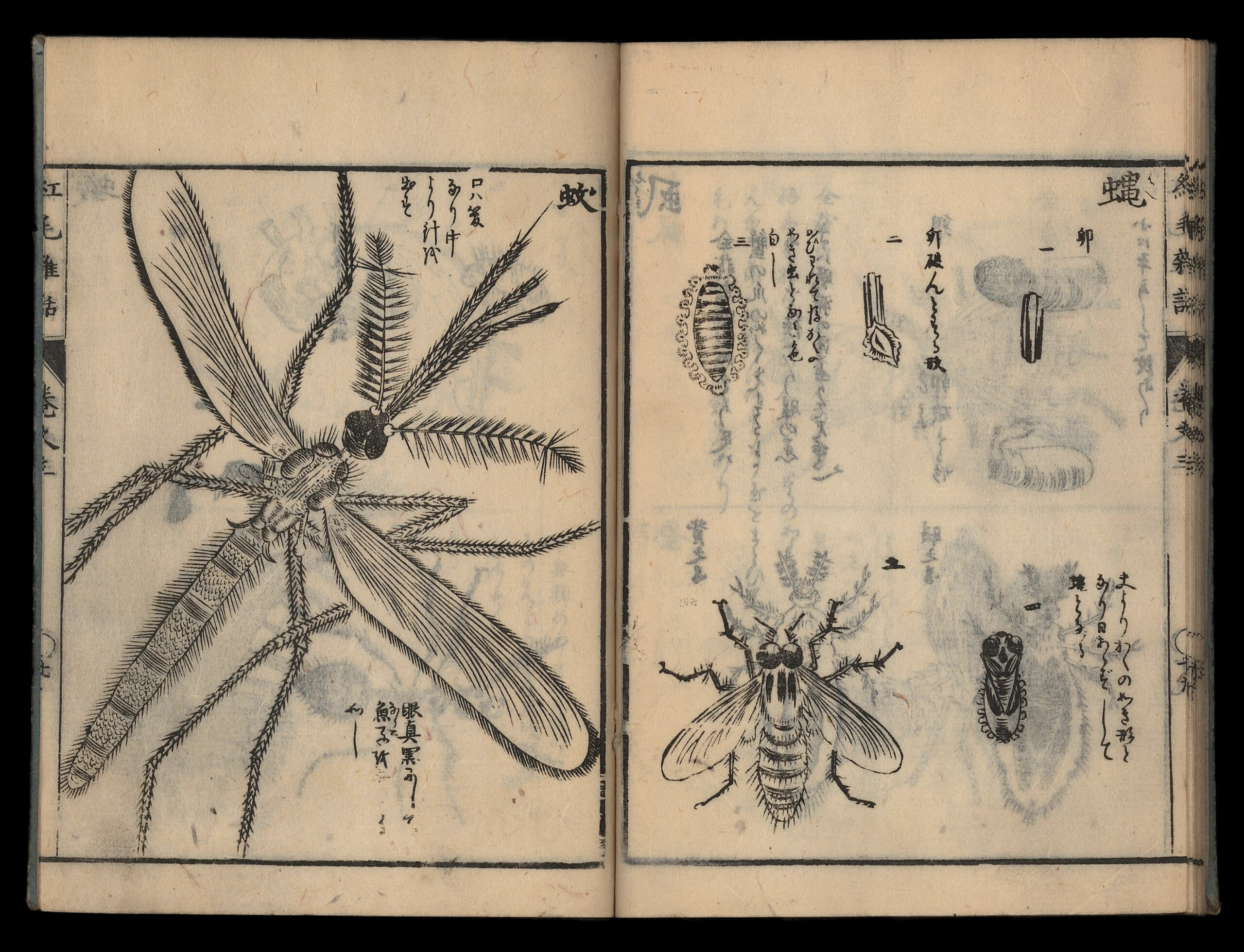 Shiba Kokan (1747-1818) (artist), Kitao Masayoshi (1764-1824) (artist) and Morishima Churyo (1754-1810) (author and editor), ‘A Miscellany on the Red-Hairs’ (Komo zatsuwa), woodblock-printed book, 5 volumes (complete), 1787, each volume: 22 x 15.8 cm.