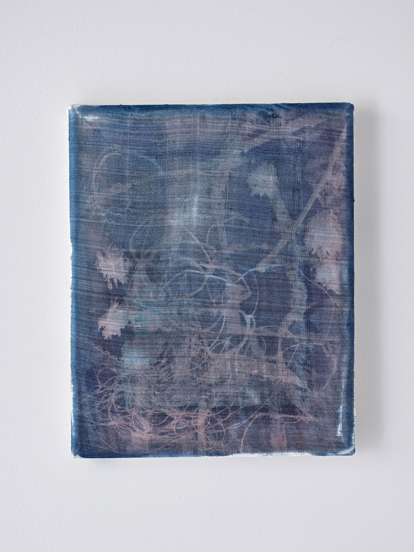 Olga Grotova, Worm Nest, Cyanotype on hand-made silk, 25.5 x 20.5 cm, 2023, Artworks © The Artist, Courtesy of Schoeni Projects and THE SHOPHOUSE, Photo by Nick Smith
