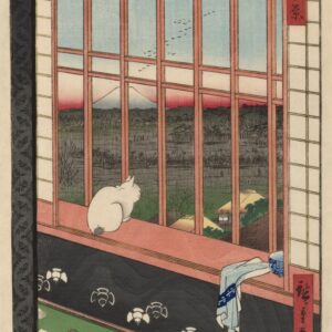 Asakusa Ricefields
