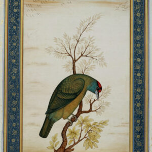 Shakir Ali, Woodpecker, mineral pigments on paper, 12 x 16 inches