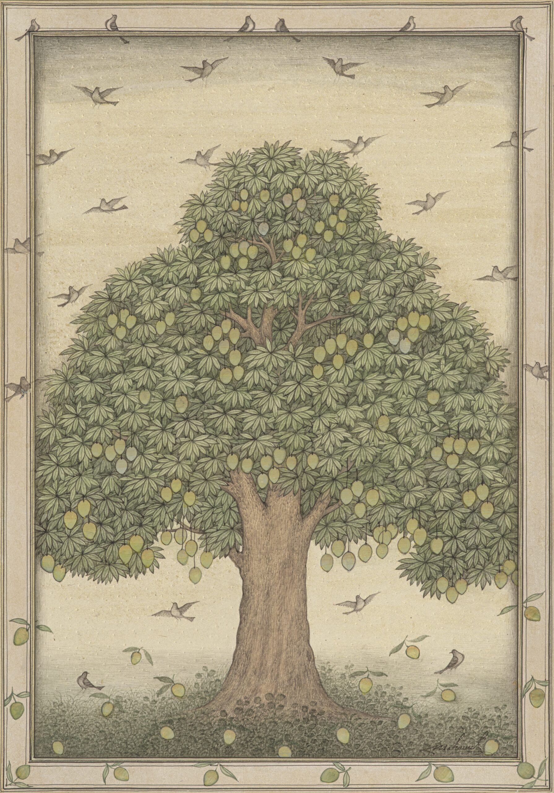 Mango Tree 1 (Mangifera Indica), 2022, Natural pigments and Gold ink on layered handmade paper, 9.5 x 13.5 in - 24 x 34 cm